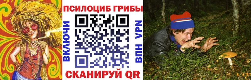 Псилоцибиновые грибы мицелий  купить  сайты  mega tor  Видное 